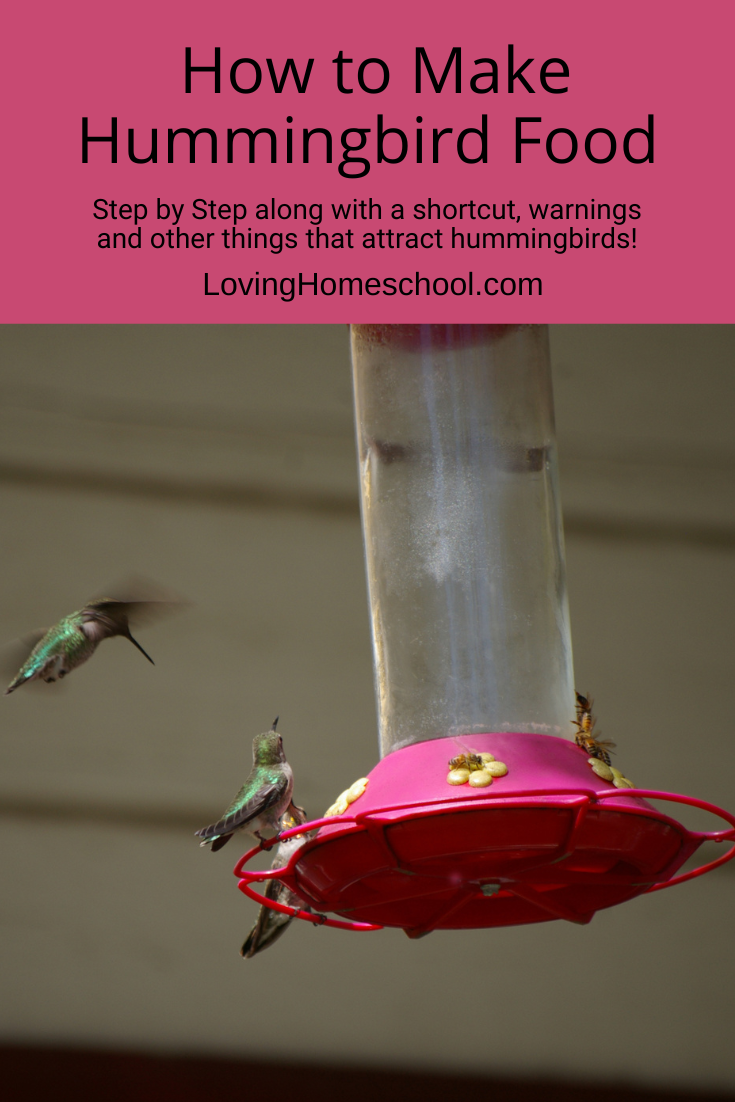 How to Make Hummingbird Food - LovingHomeschool.com