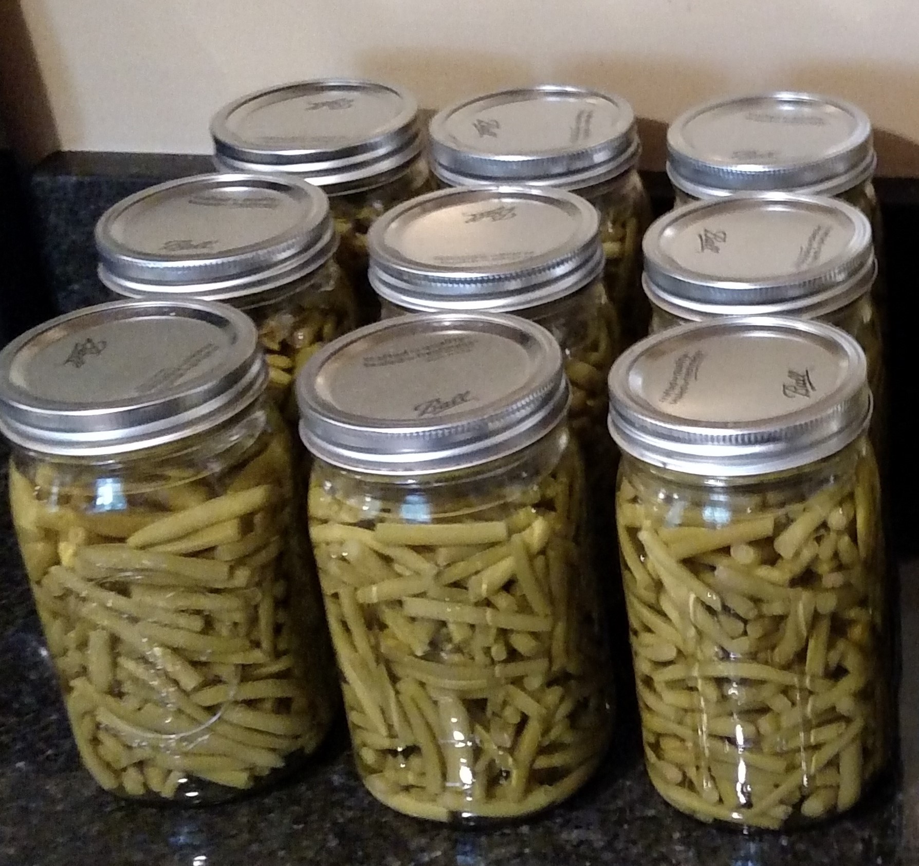 9 jars of home Canned Green Beans