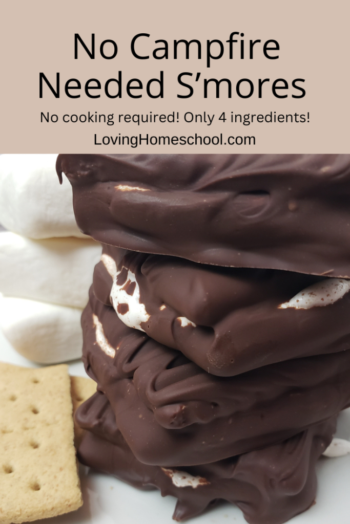 No Campfire Needed S’mores Pinterest Pin