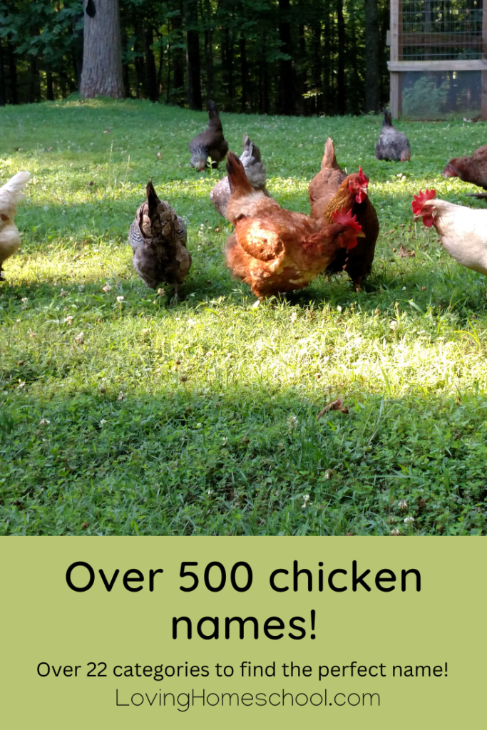 Over 500 chicken names! Pinterest Pin