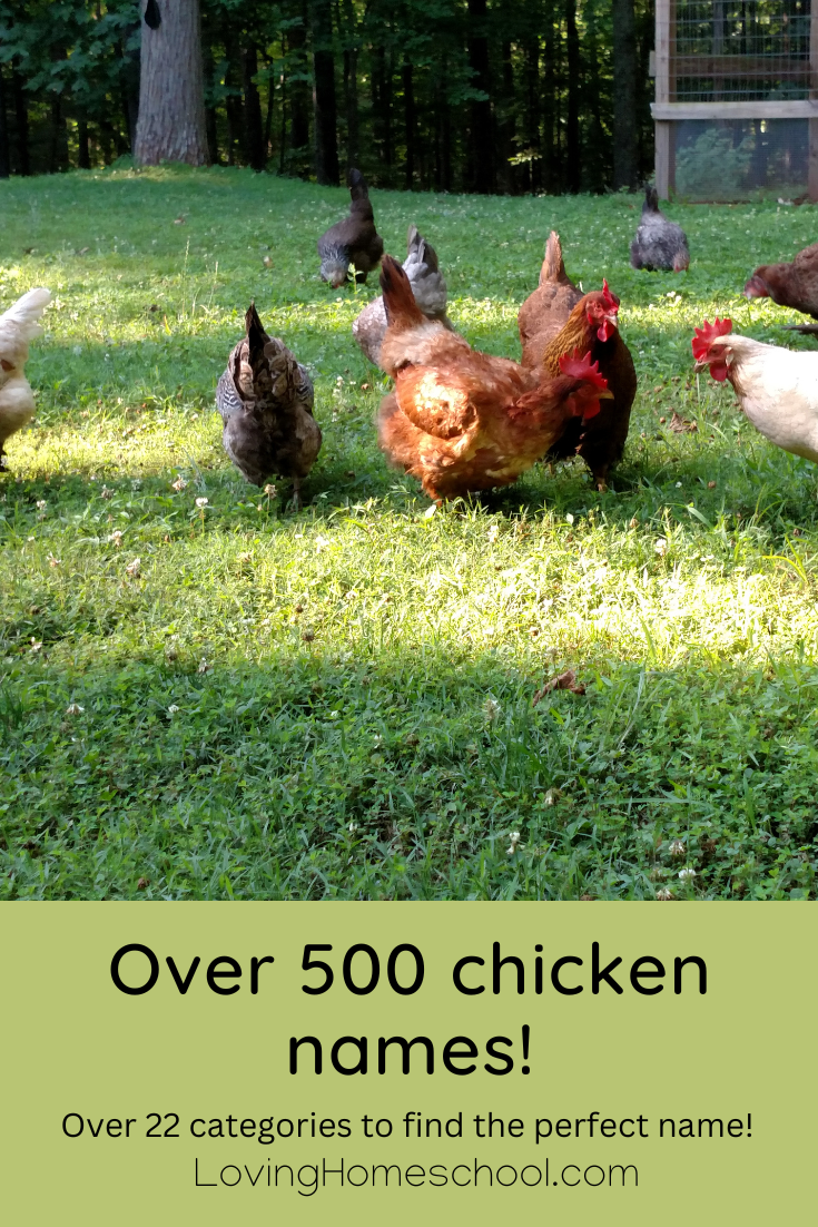 Over 500 chicken names! Pinterest Pin