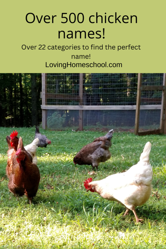 Over 500 chicken names! Pinterest Pin