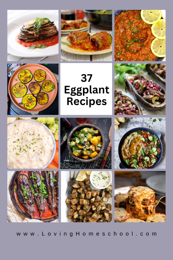 37 Eggplant Recipes Pinterest Pin