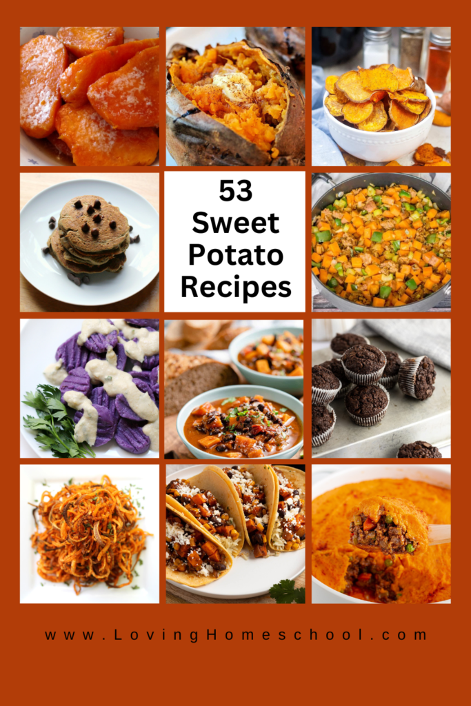 53 Sweet Potato Recipes Pinterest Pin