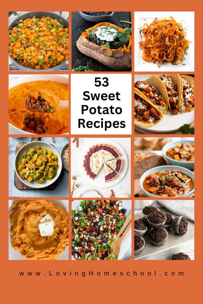 53 Sweet Potato Recipes Pinterest Pin