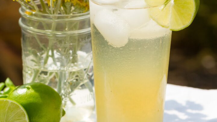 Image for Basil Lime Sparkling Green Tea