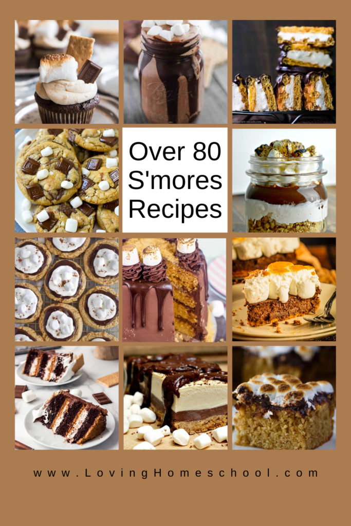 Over 80 S'mores Recipes Pinterest Pin