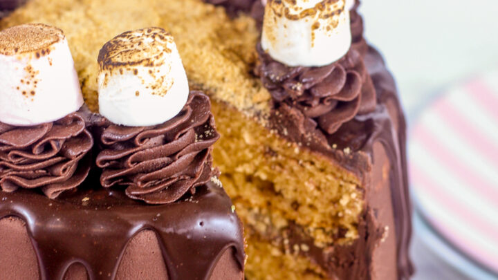 Image for Decadent S'mores Drip Cake