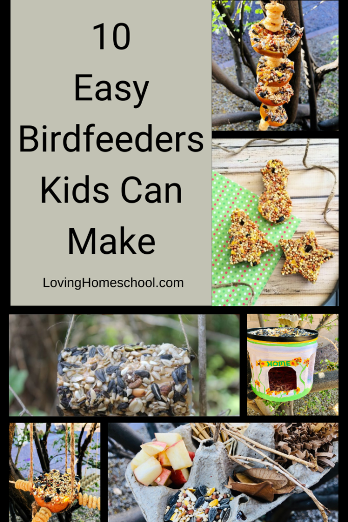 10 Easy Birdfeeders Kids Can Make Pinterest Pin