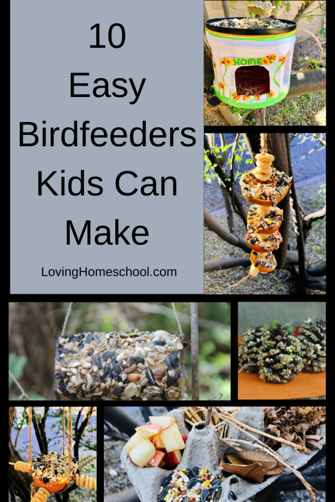 10 Easy Birdfeeders Kids Can Make Pinterest Pin