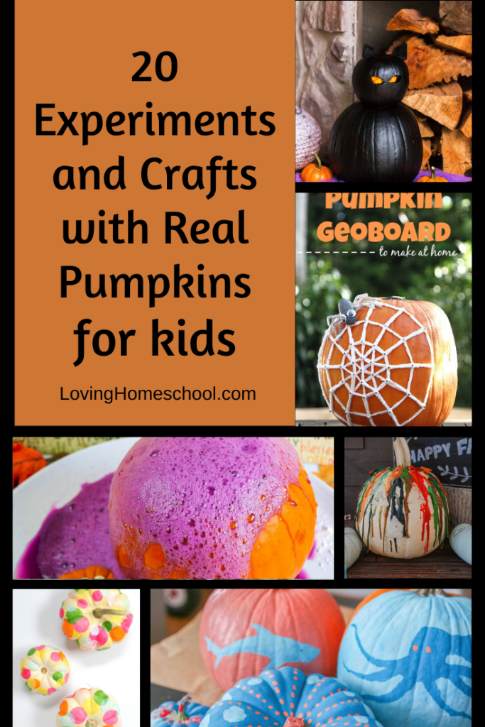 20 Experiments and Crafts with Real Pumpkins Pinterest Pin