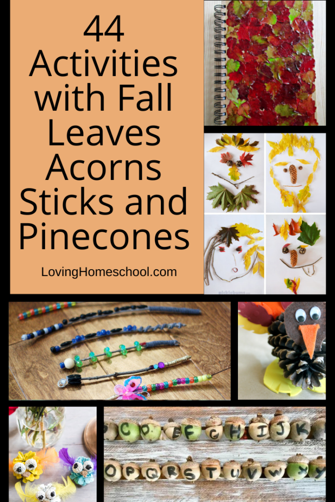 44 Activities with Fall Leaves Acorns Sticks and Pinecones