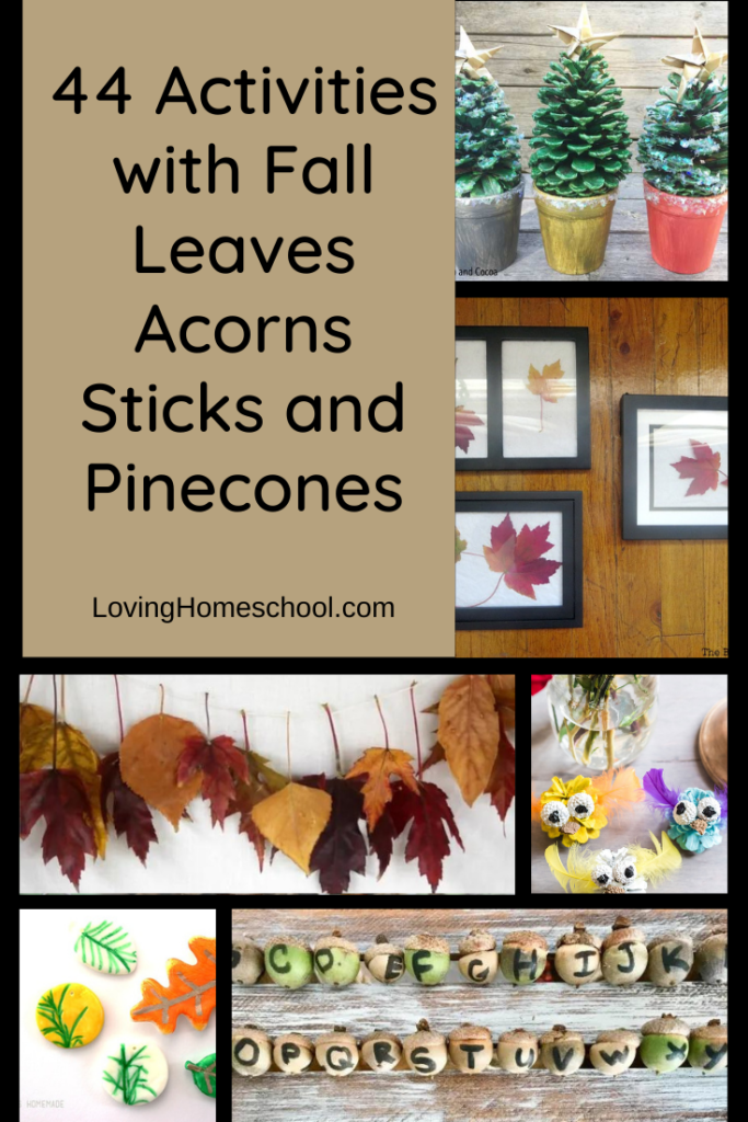 44 Activities with Fall Leaves Acorns Sticks and Pinecones