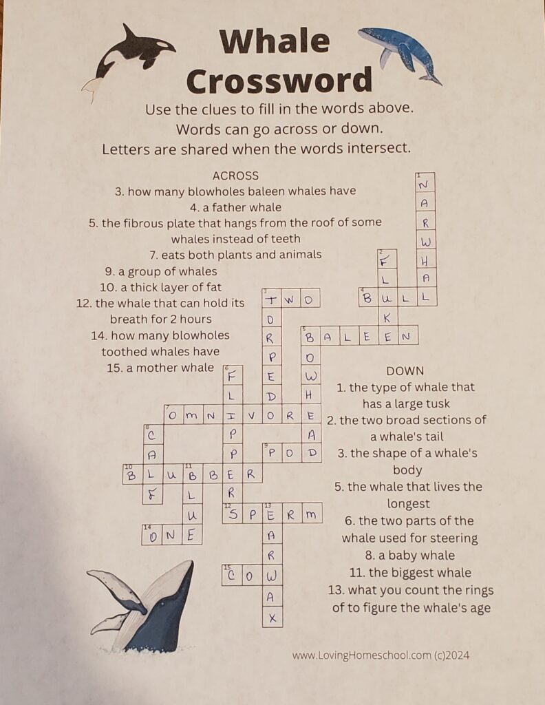 Whale Crossword Puzzle with answers