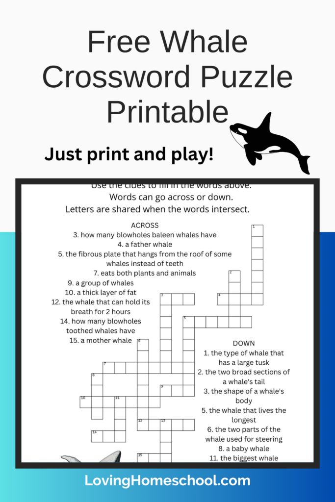 Free Whale Crossword Puzzle Printable Pinterest Pin