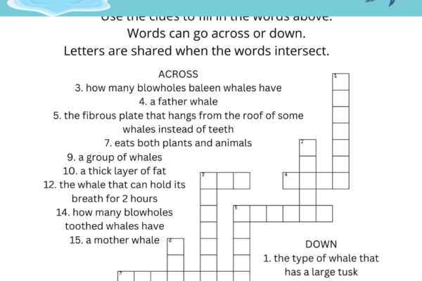 Free Whale Crossword Puzzle Printable Pinterest Pin