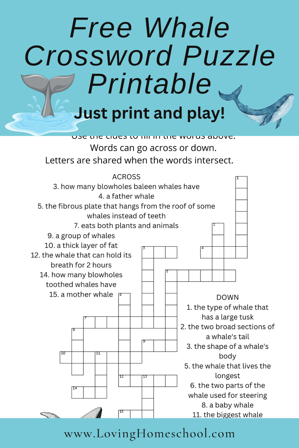 Free Whale Crossword Puzzle Printable Pinterest Pin