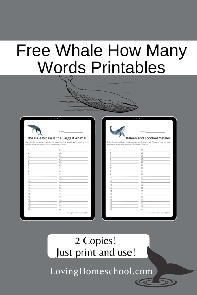 Free Whale How Many Words Printables Pinterest Pin