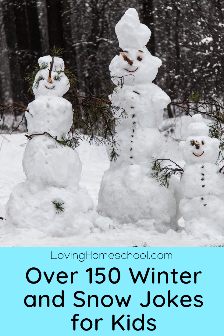 Over 150 Winter and Snow Jokes for Kids Pinterest Pin