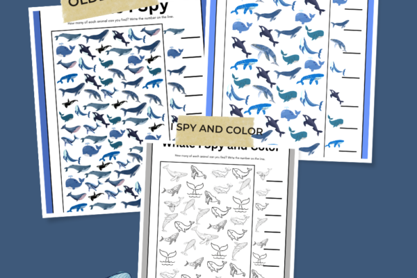 Whale I Spy Printables Pinterest Pin