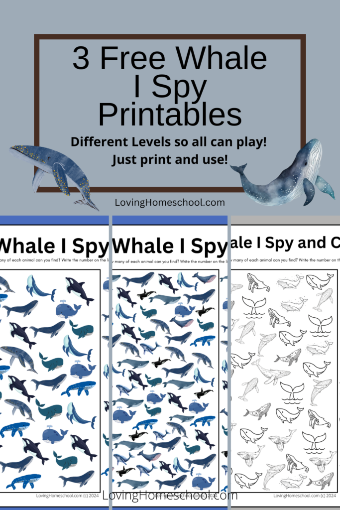 Whale I Spy Printables Pinterest Pin