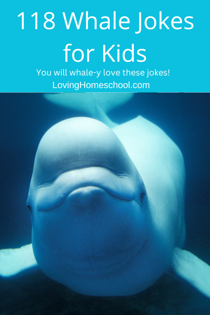 118 Whale Jokes for Kids Pinterest Pin