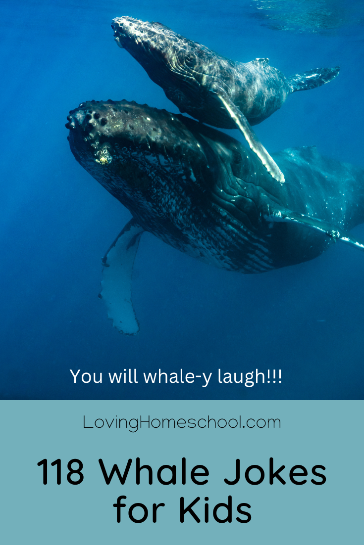 118 Whale Jokes for Kids Pinterest Pin
