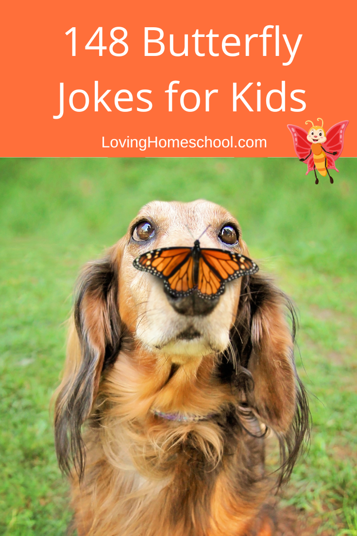 148 Butterfly Jokes for Kids Pinterest Pin