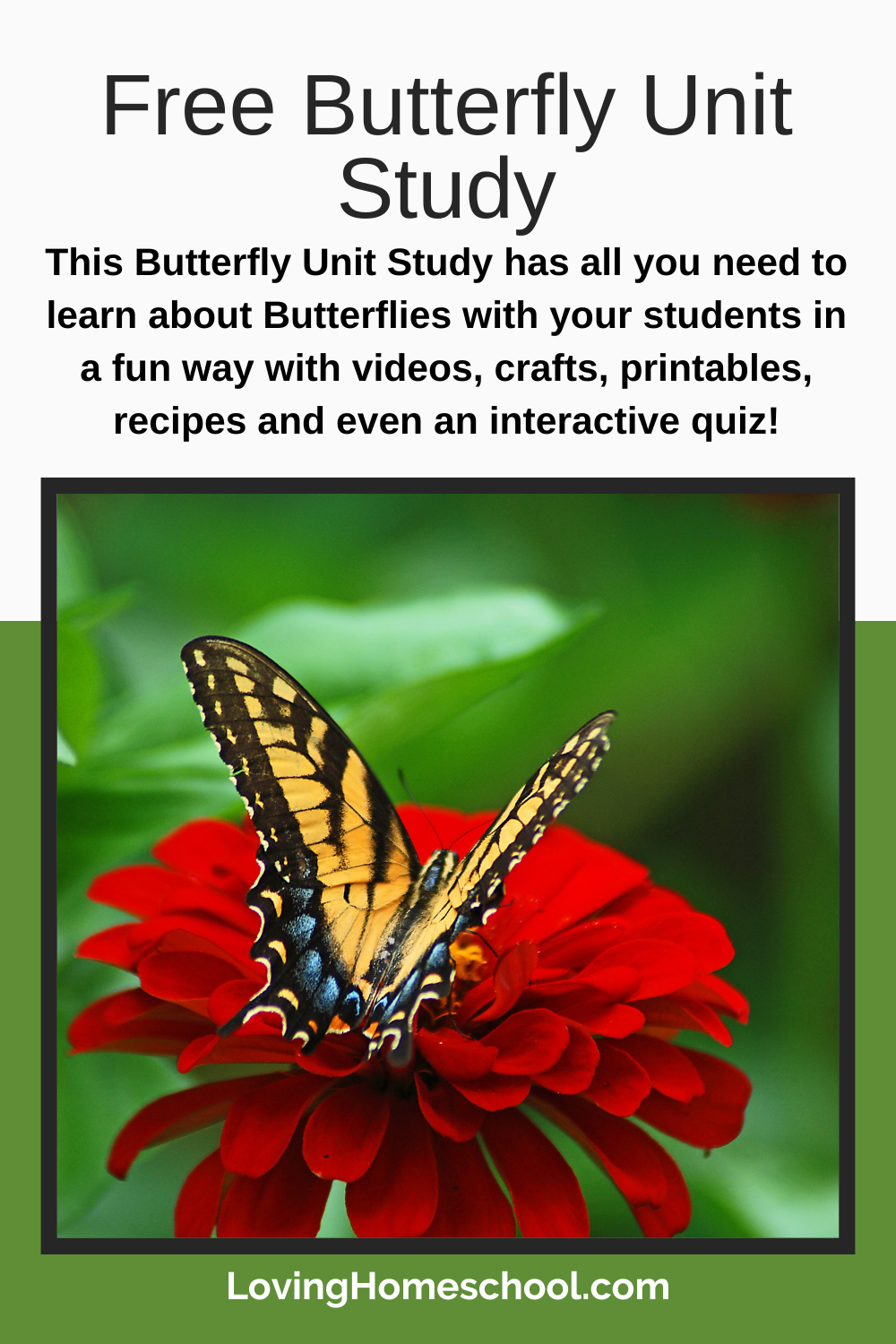 Butterfly Unit Study Pinterest Pin