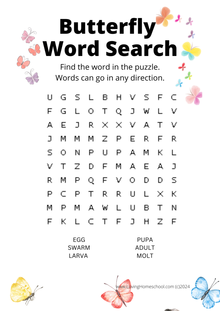 Butterfly Word Search for older kids