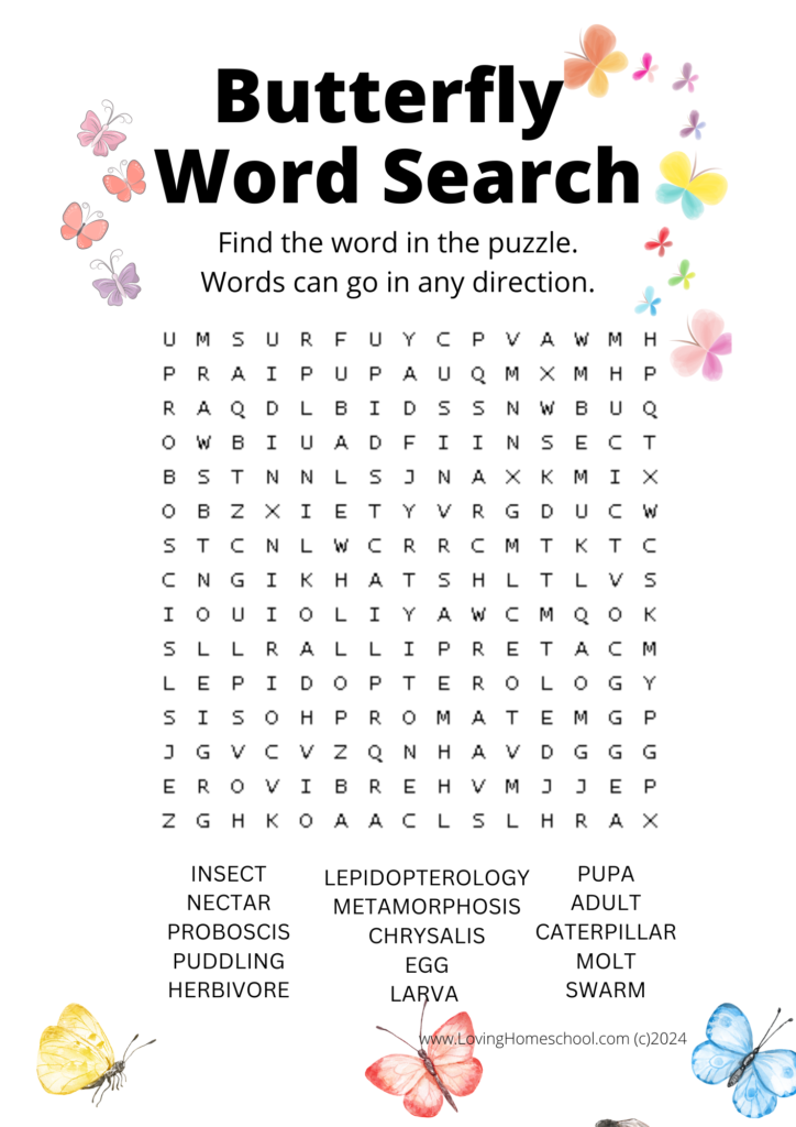 Butterfly Word Search for older kids