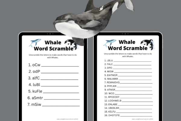 Whale Word Scramble Printables Pinterest Pin