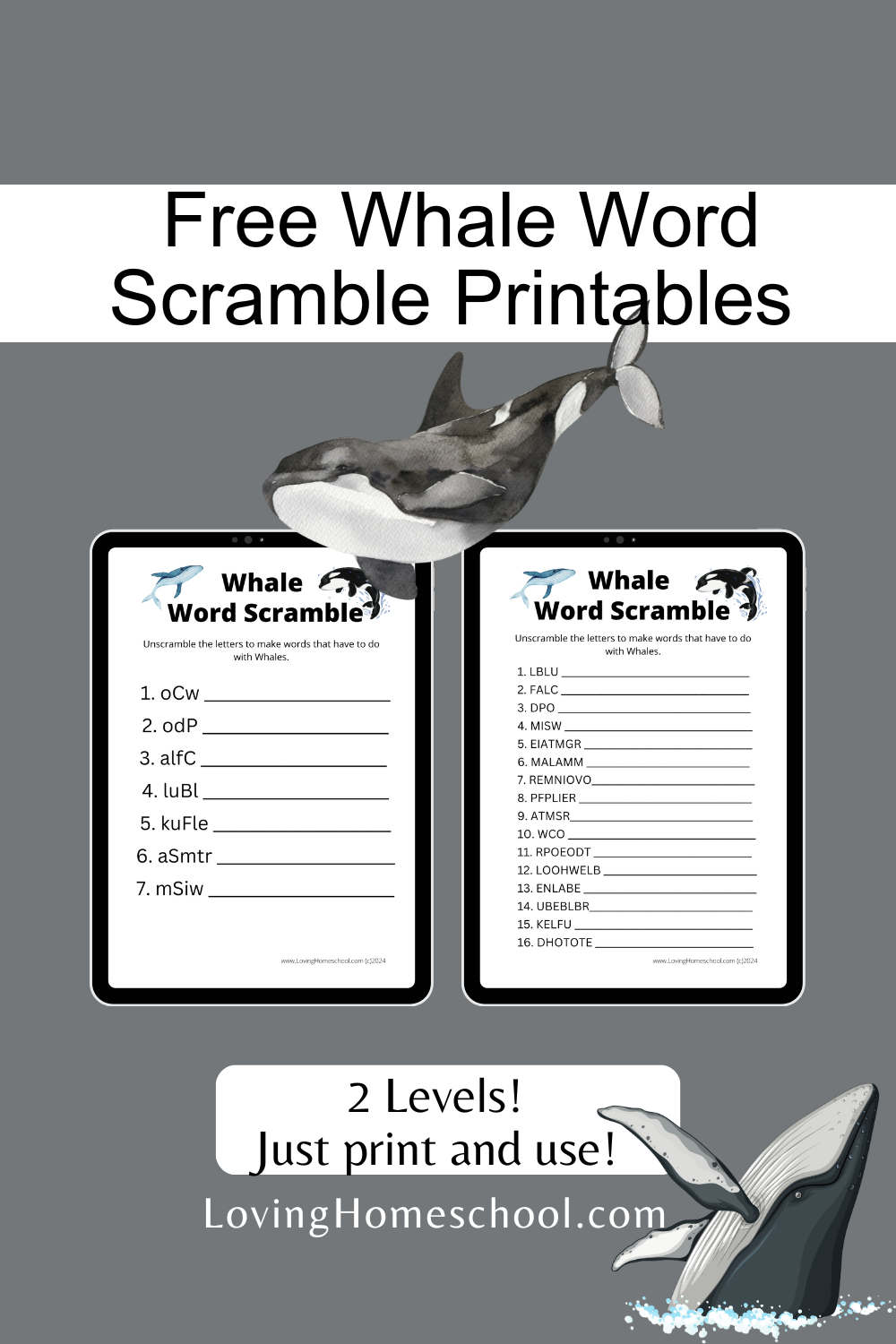 Whale Word Scramble Printables