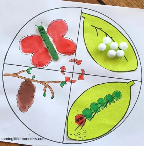 butterfly life cycle activity for kids