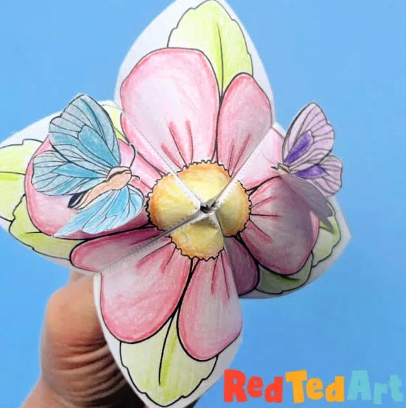 butterfly life cycle cootie catcher