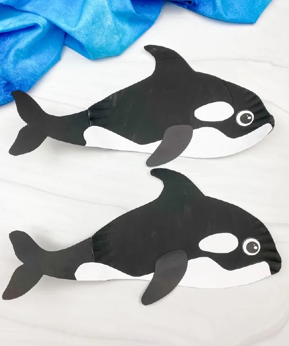 paper plate killer whale craft