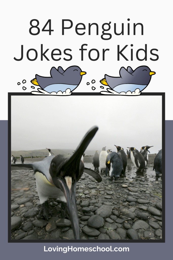 84 Penguin Jokes for Kids Pinterest Pin