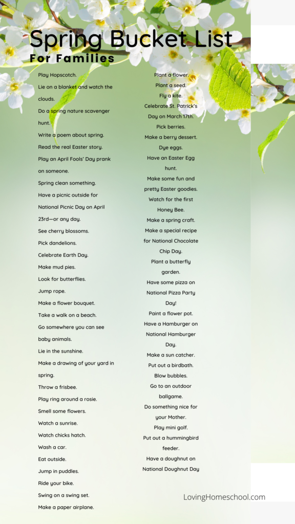 Spring Bucket List for families Pinterest Pin