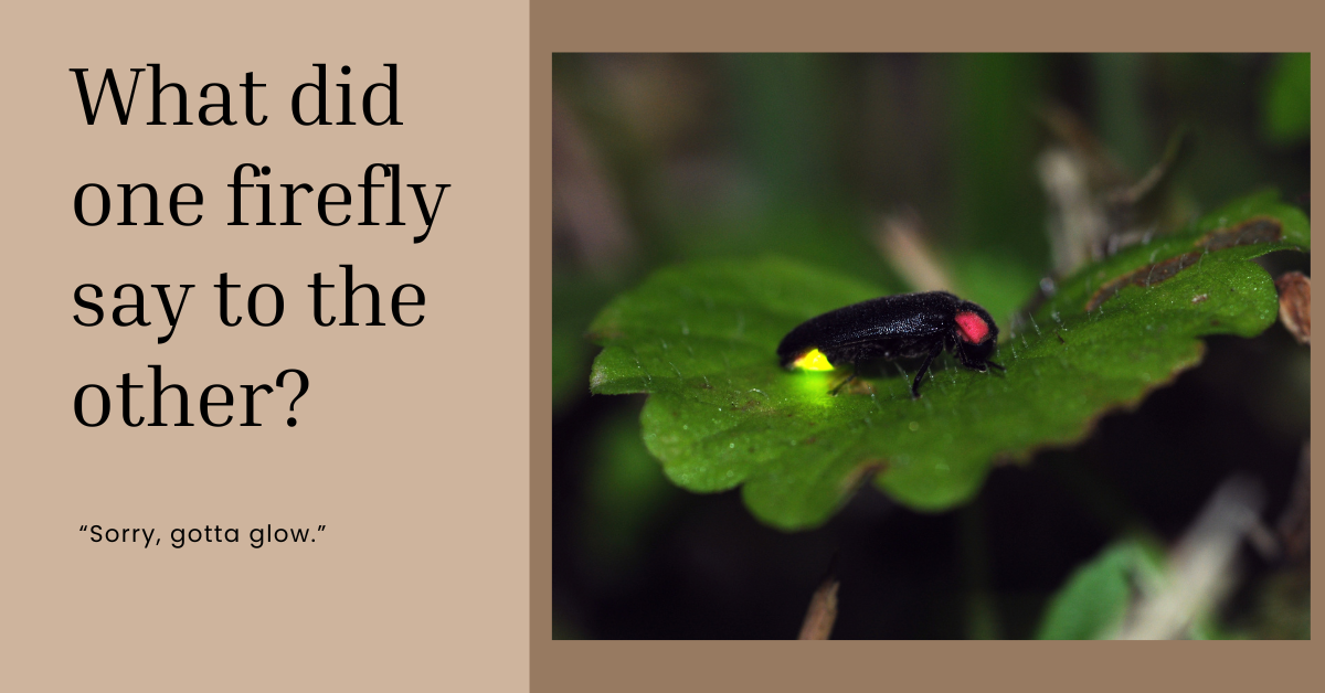 126 Earth Day Jokes for Kids - LovingHomeschool.com