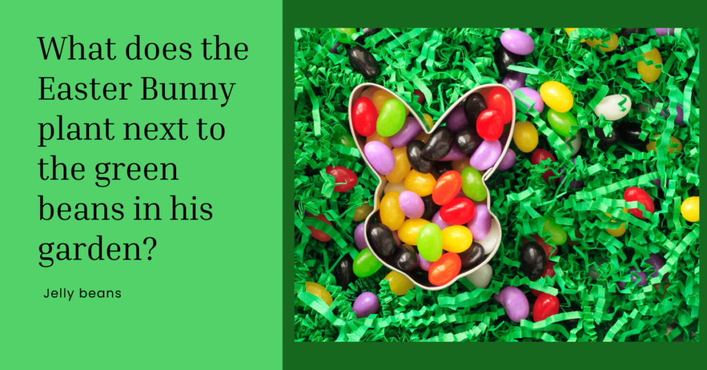 What does the Easter Bunny plant next to the green beans in his garden Jelly joke