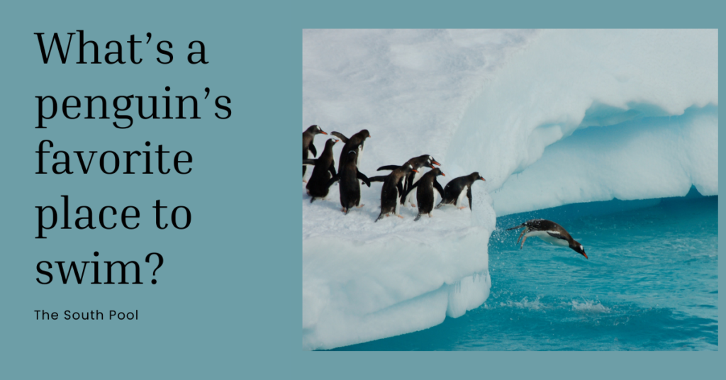 What’s a penguin’s favorite place to swim joke