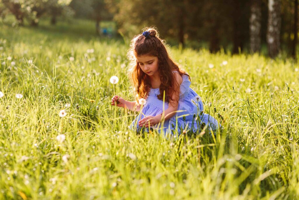 little girl with long brown hair and wearing a blue dress picking dandelions in a field of grass