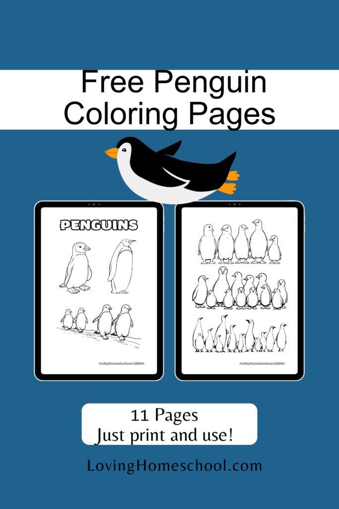 11 Penguin Coloring Pages Pinterest Pin