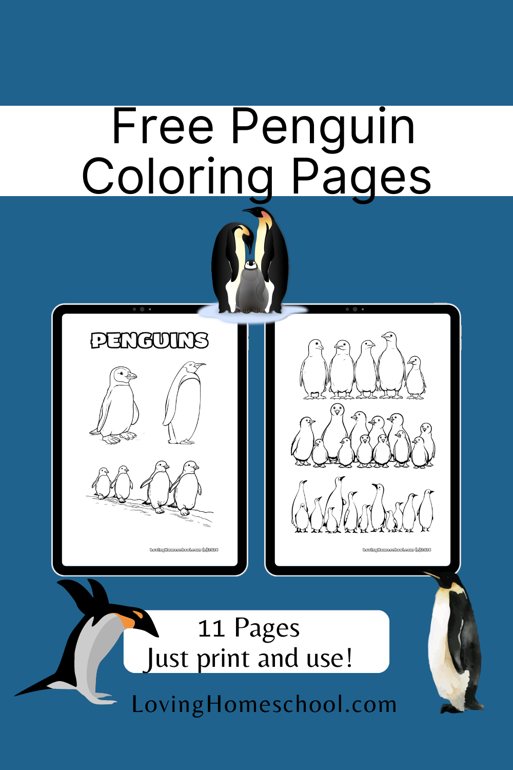 11 Penguin Coloring Pages Pinterest Pin