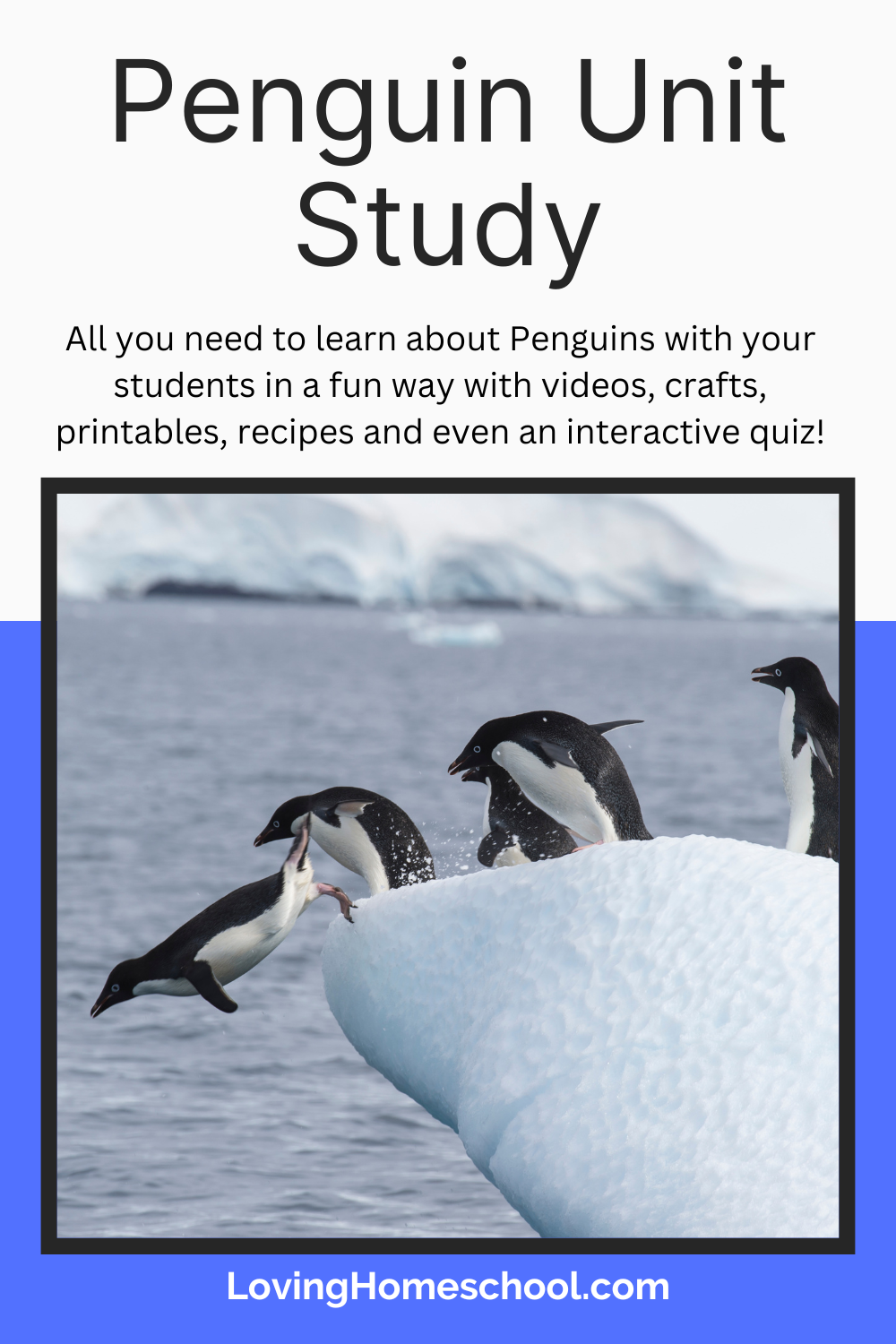 Penguin Unit Study Pinterest Pin