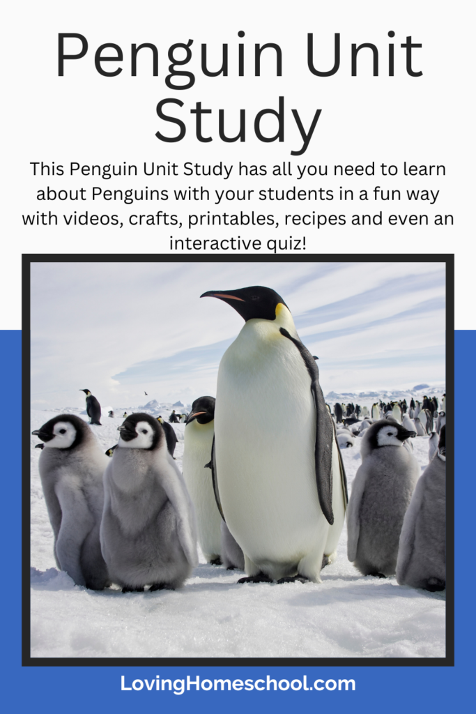 Penguin Unit Study Pinterest Pin