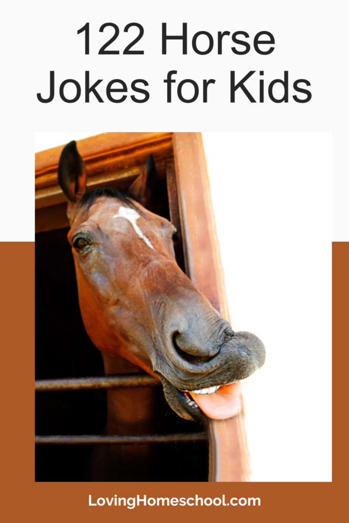 122 Horse Jokes for Kids Pinterest Pin