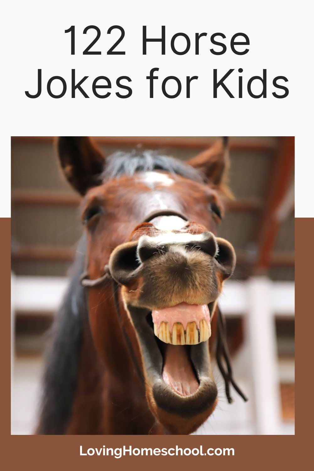 122 Horse Jokes for Kids Pinterest Pin