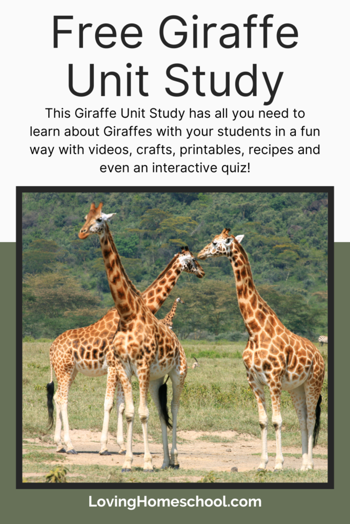 Free Giraffe Unit Study Pinterest Pin