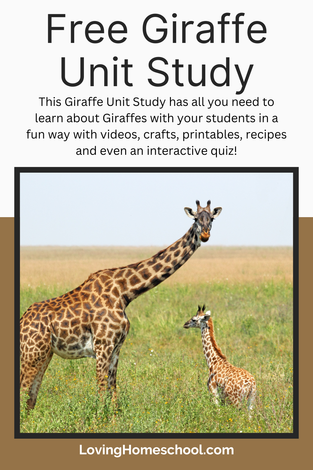 Free Giraffe Unit Study Pinterest Pin